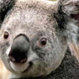 Meet your Posher, Jeanpaul